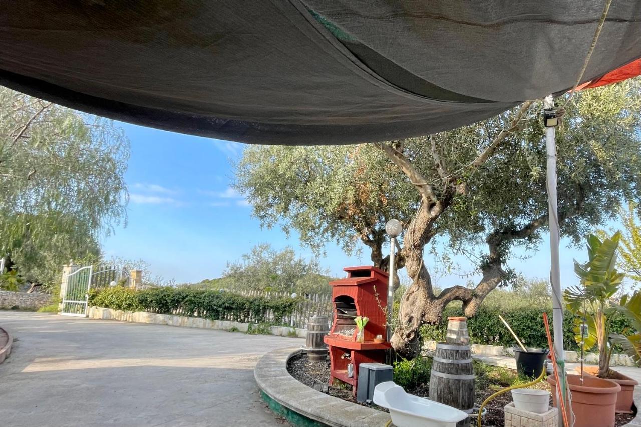 Music House A Castellana Grotte Confinante Via Per Turi 500M Dalle Grotte Eksteriør billede