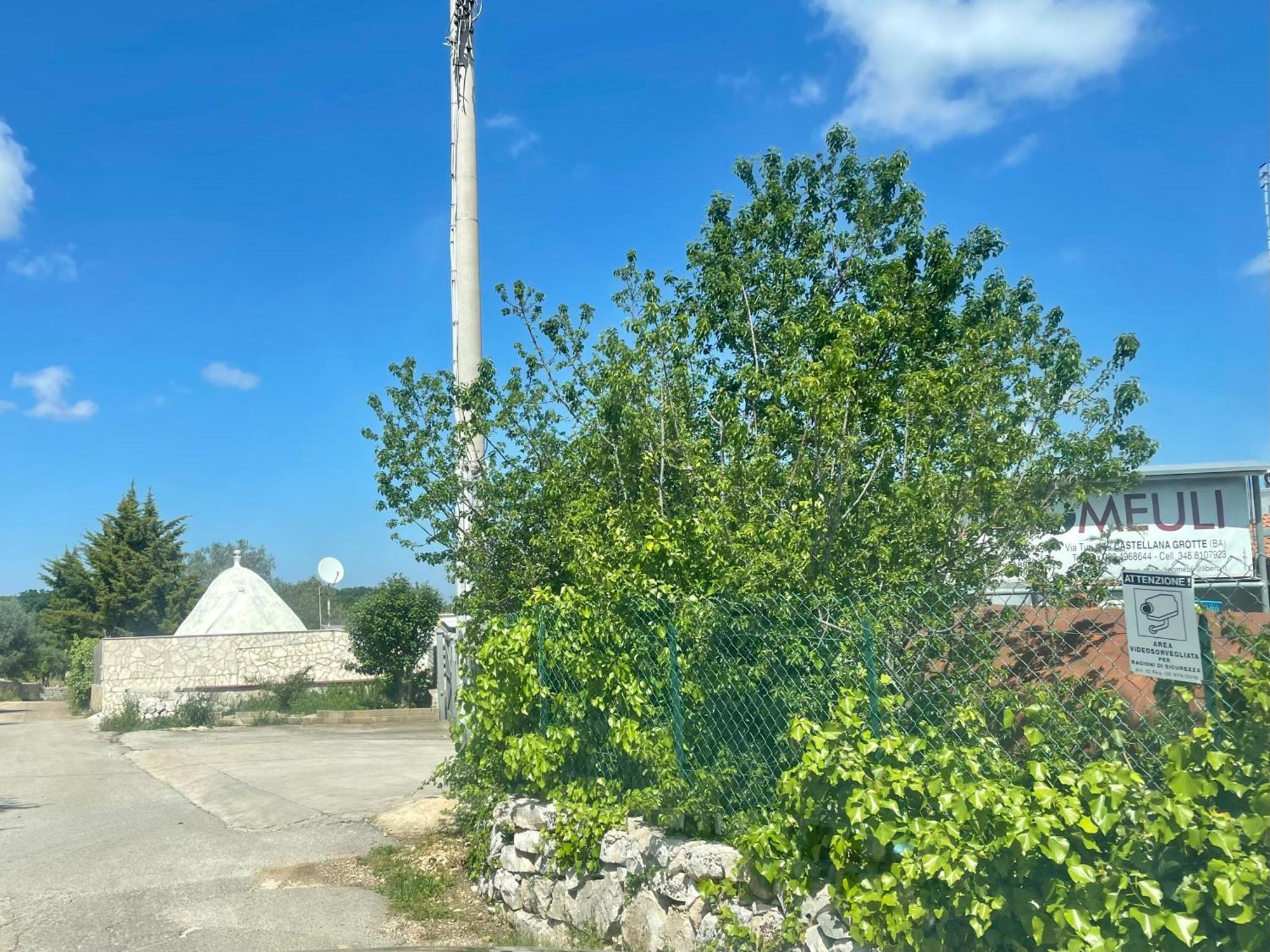 Music House A Castellana Grotte Confinante Via Per Turi 500M Dalle Grotte Eksteriør billede